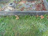 image of grave number 583234